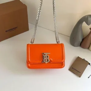 Crossbody Burber Deluxe Orange Strap Silver